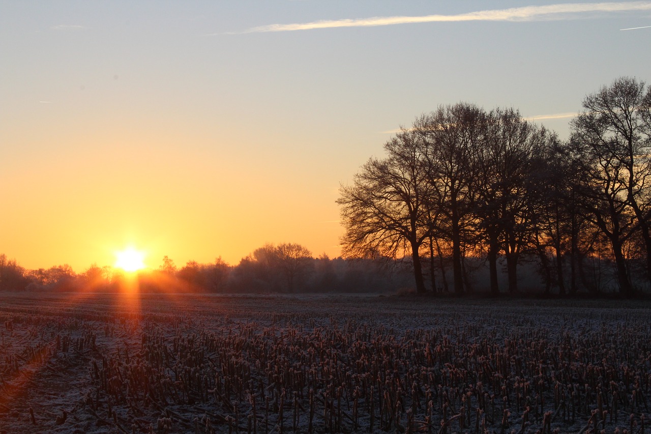 sunrise winter sun free photo