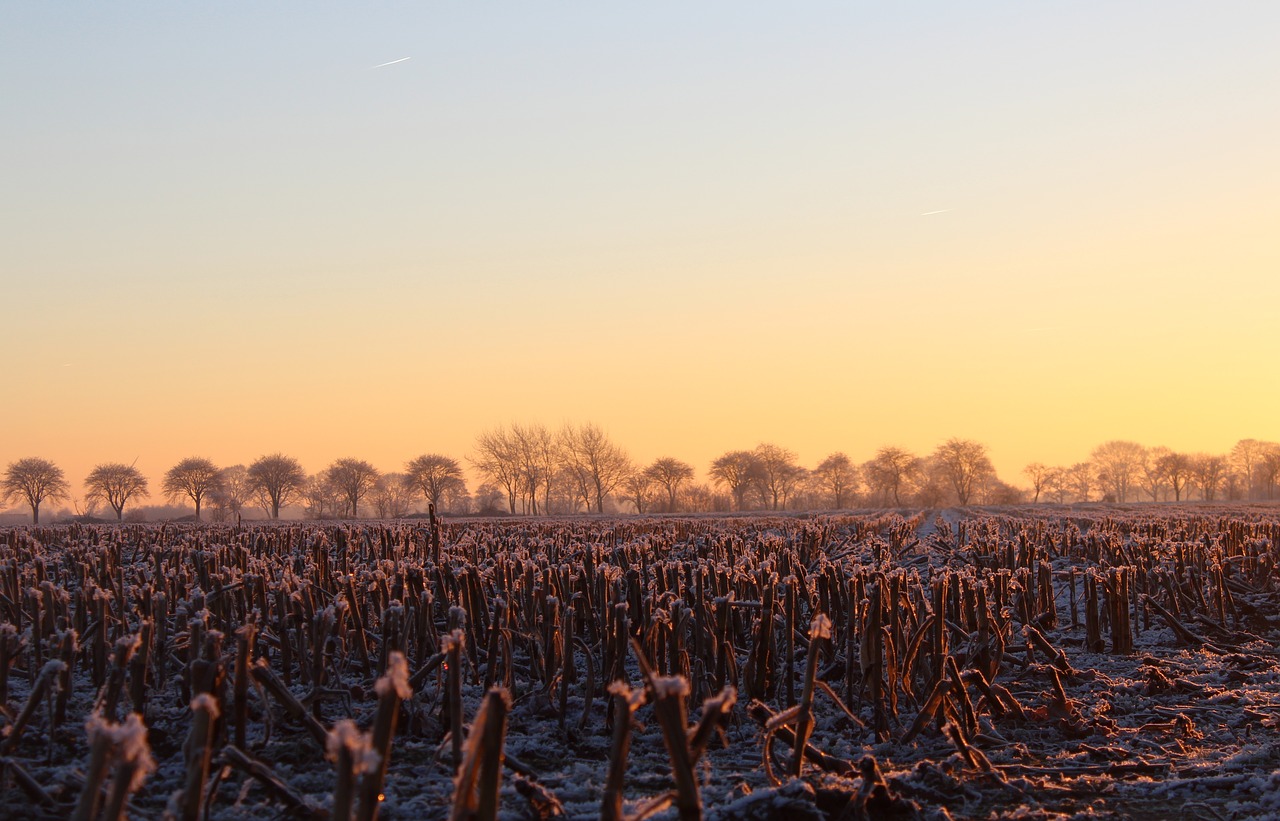 sunrise winter sun free photo