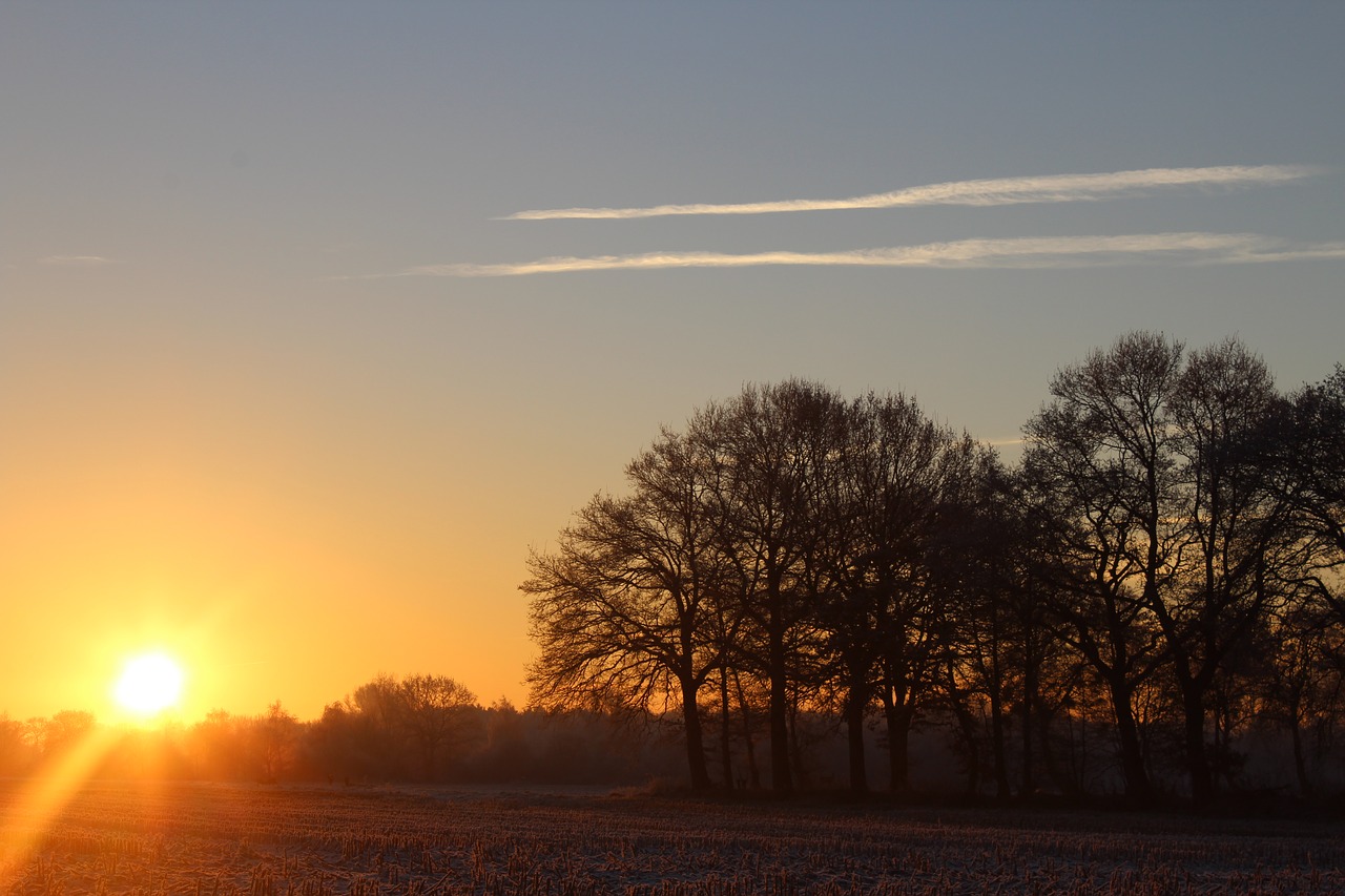 sunrise winter sun free photo