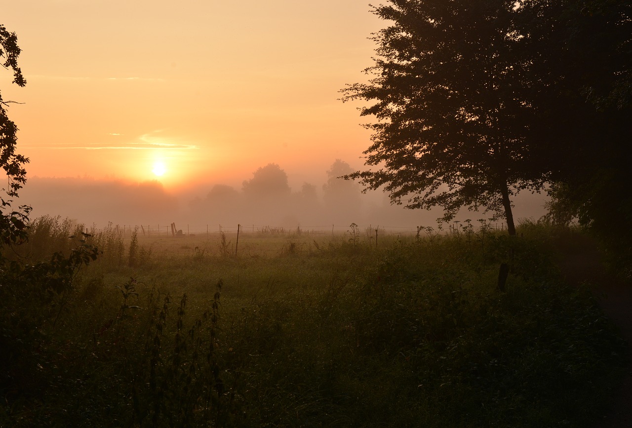 sunrise morgenstimmung skies free photo