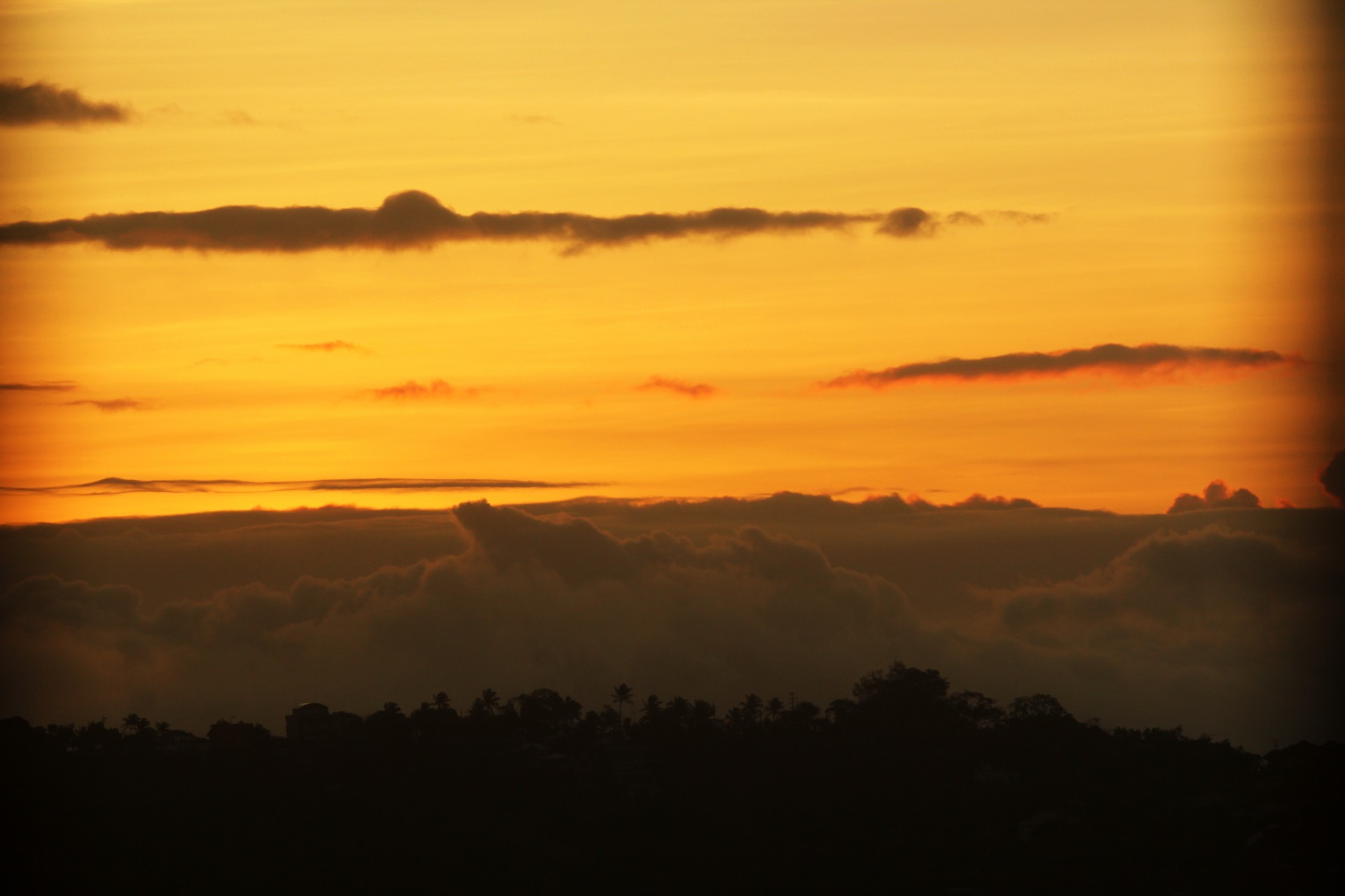 sunrise clouds sunrise clouds free photo