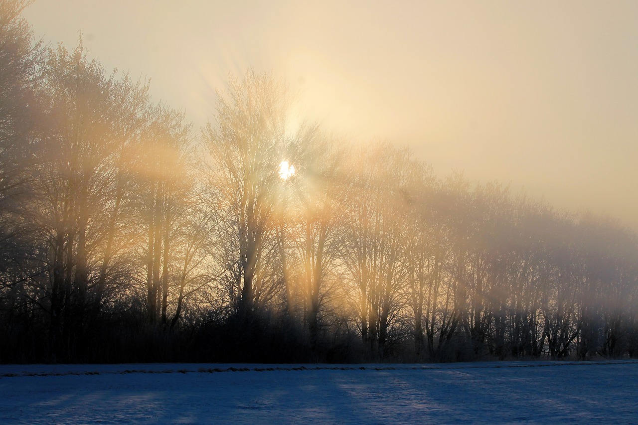 sunrise landscape winter free photo