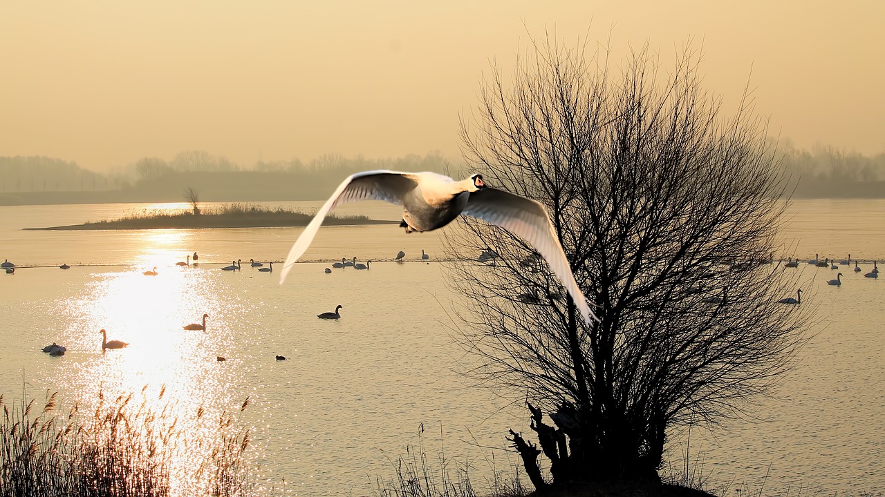 sunrise landscape winter free photo