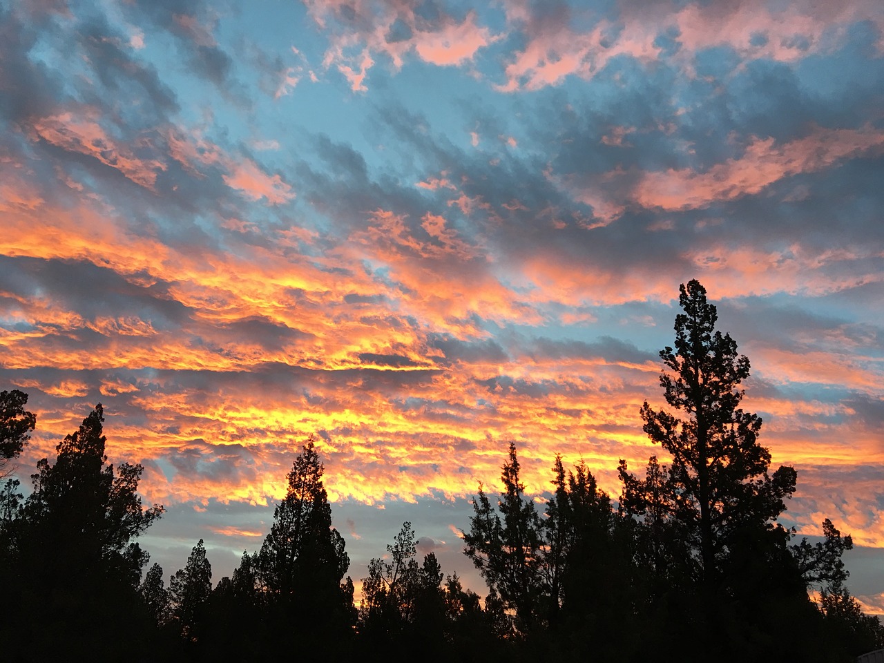 sunrise sky cloud free photo