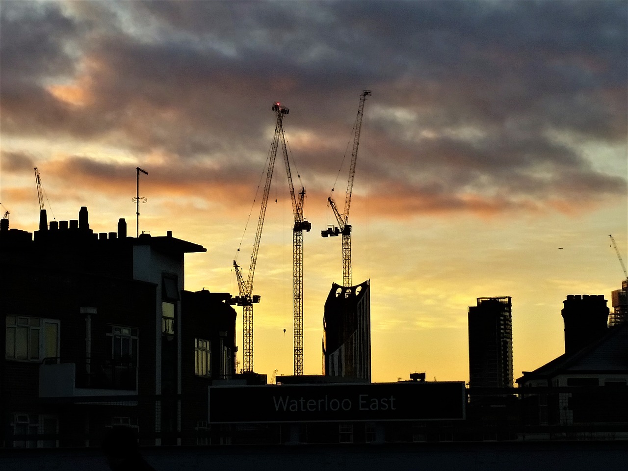 sunrise cranes london free photo