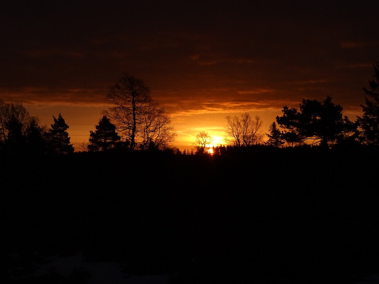 sunrise nature morgenstimmung free photo