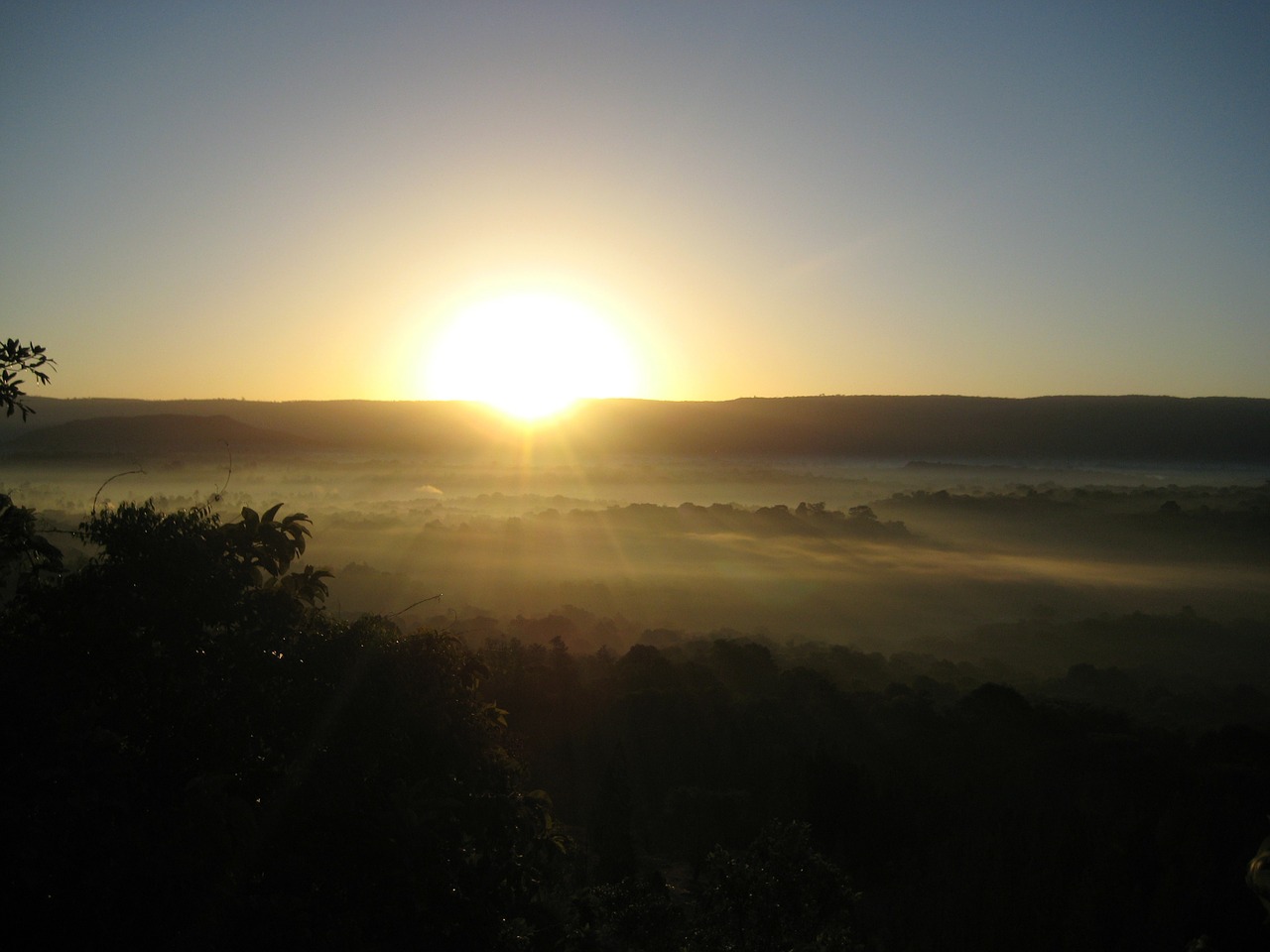 sunrise rainforest kakamega free photo