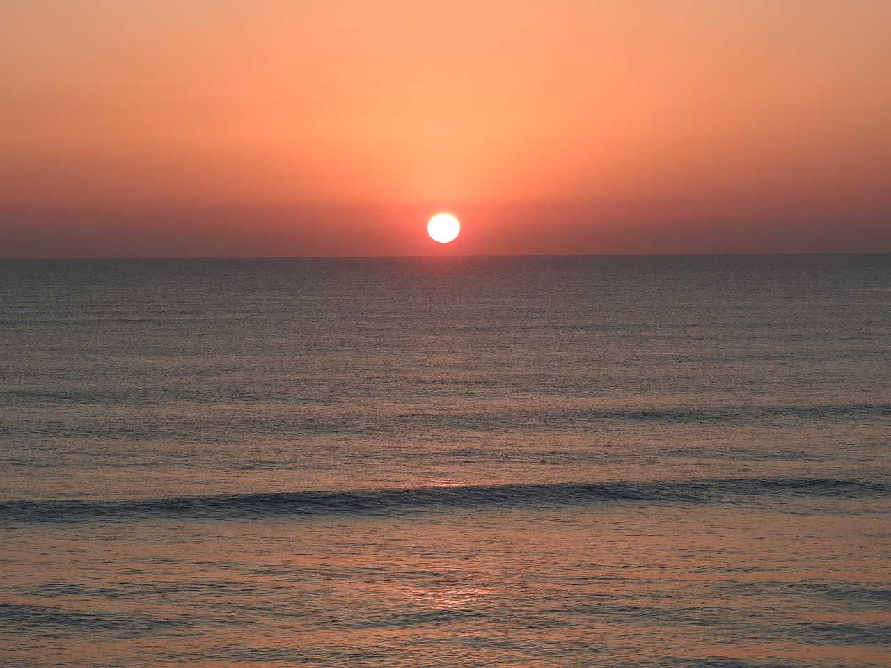 sunrise florida beach free photo