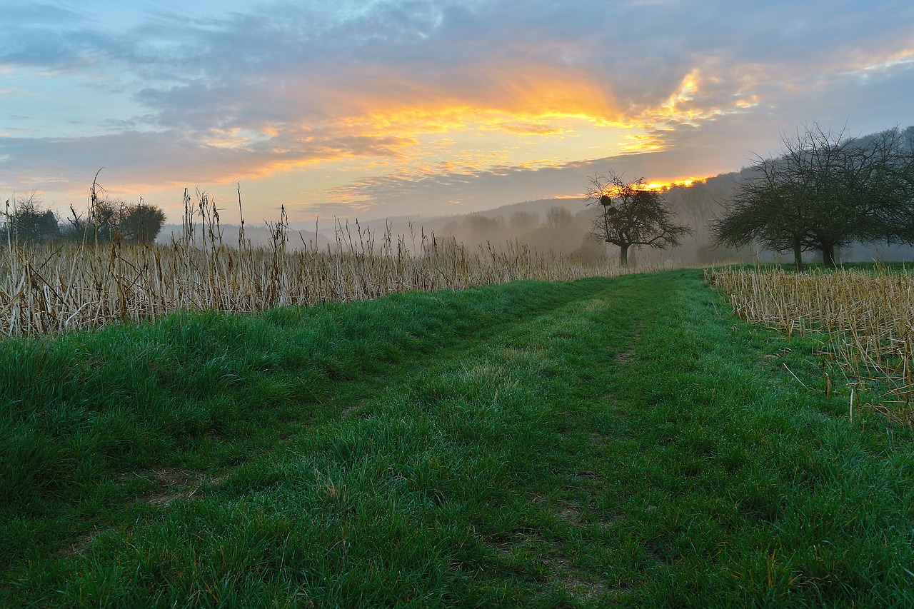 sunrise landscape pfinztal free photo