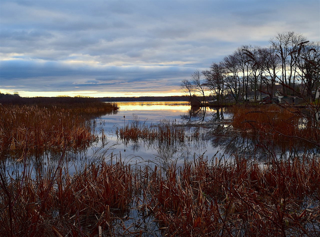 sunrise lake water free photo