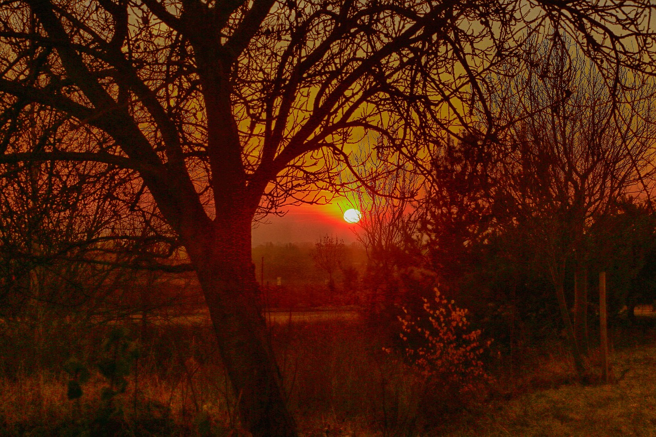 sunrise landscape impression free photo