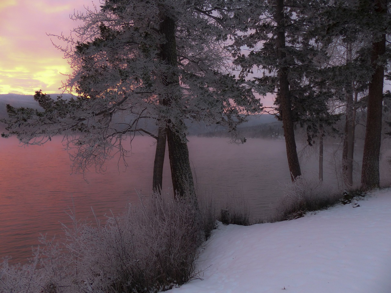 sunrise early morning water free photo