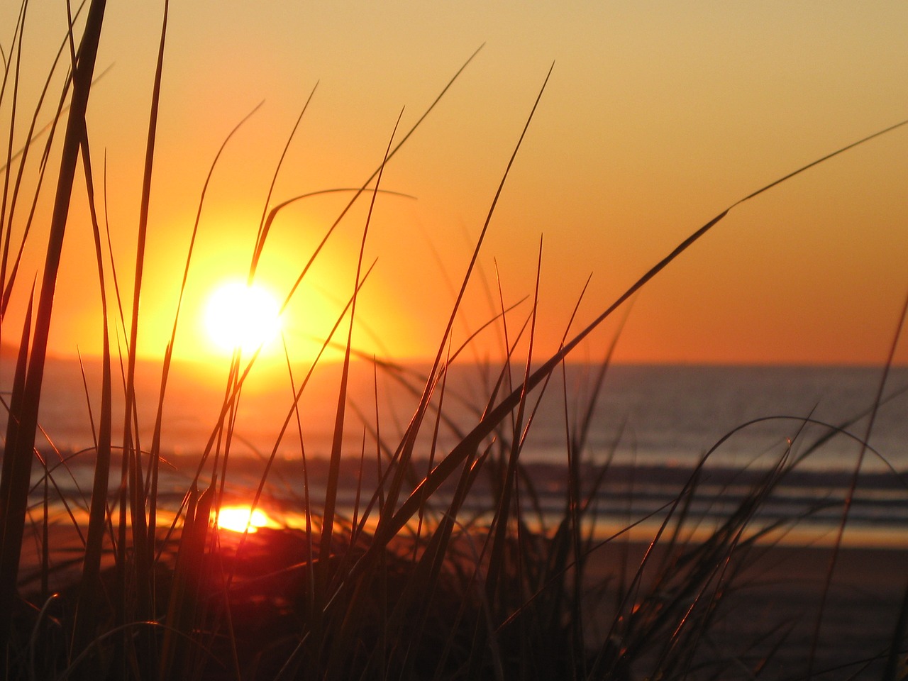 sunrise beach maine free photo