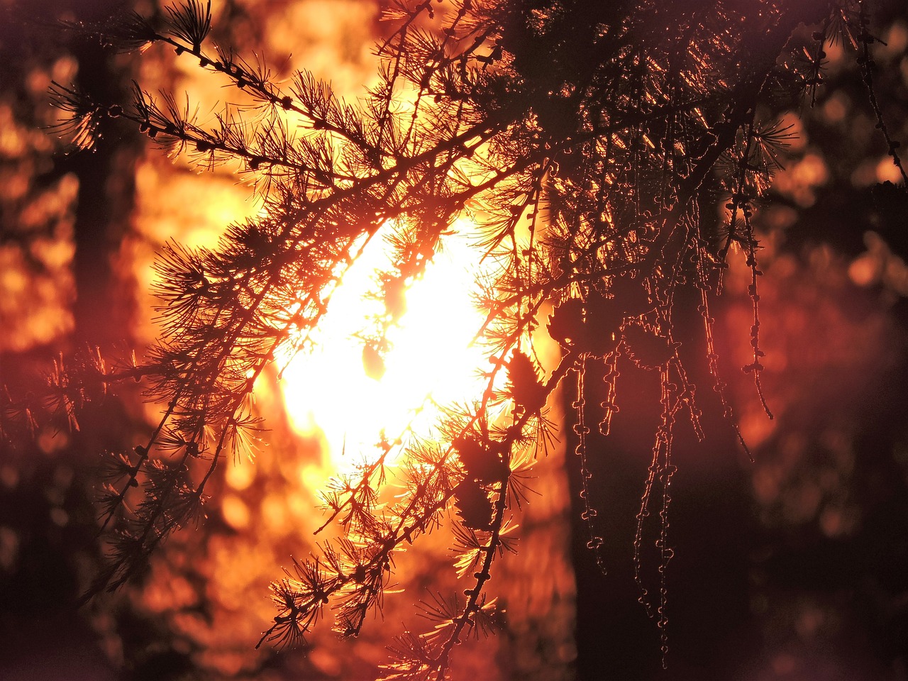 sunrise roppen tyrol free photo