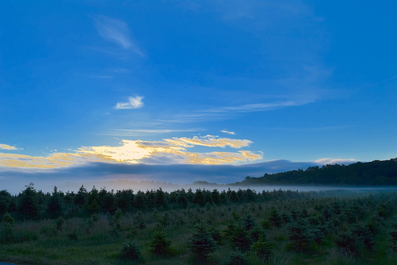 sunrise field mist free photo