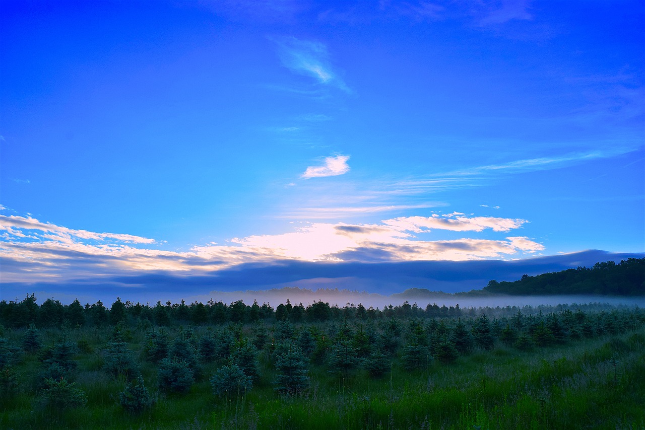 sunrise field mist free photo