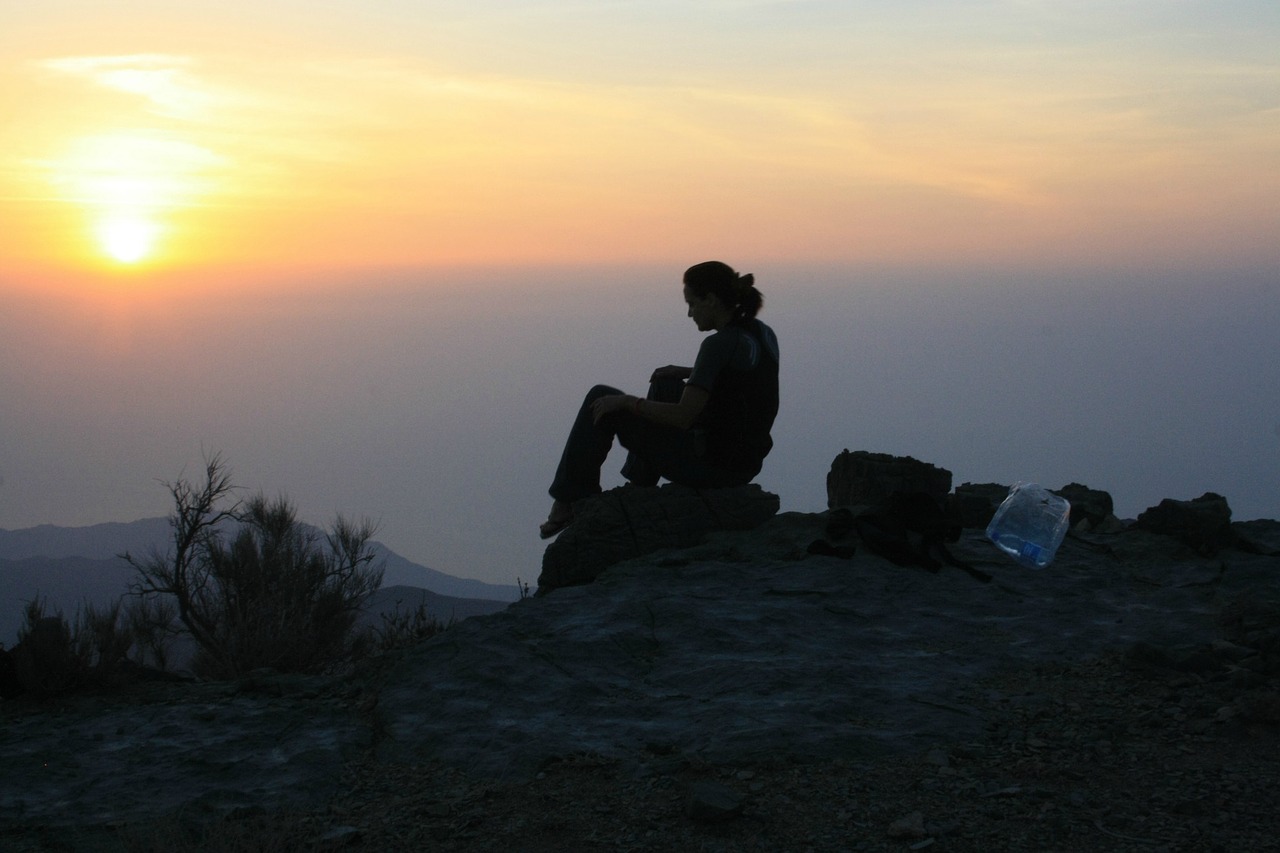 sunrise silhouette nature free photo