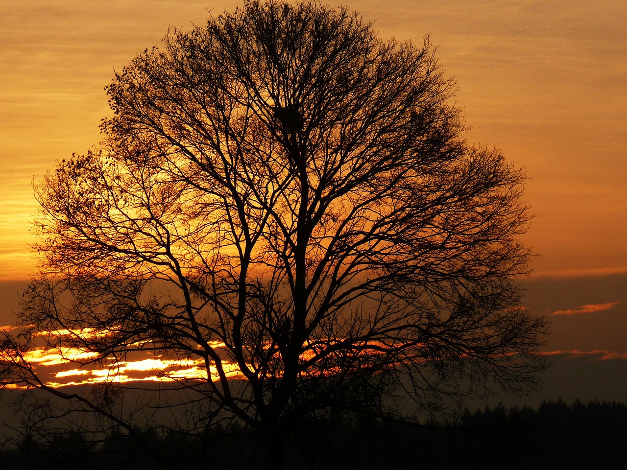 sunrise morgenrot landscape free photo