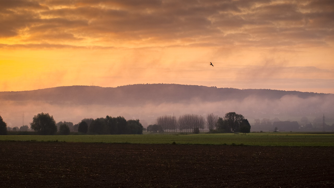 sunrise landscape morning light free photo