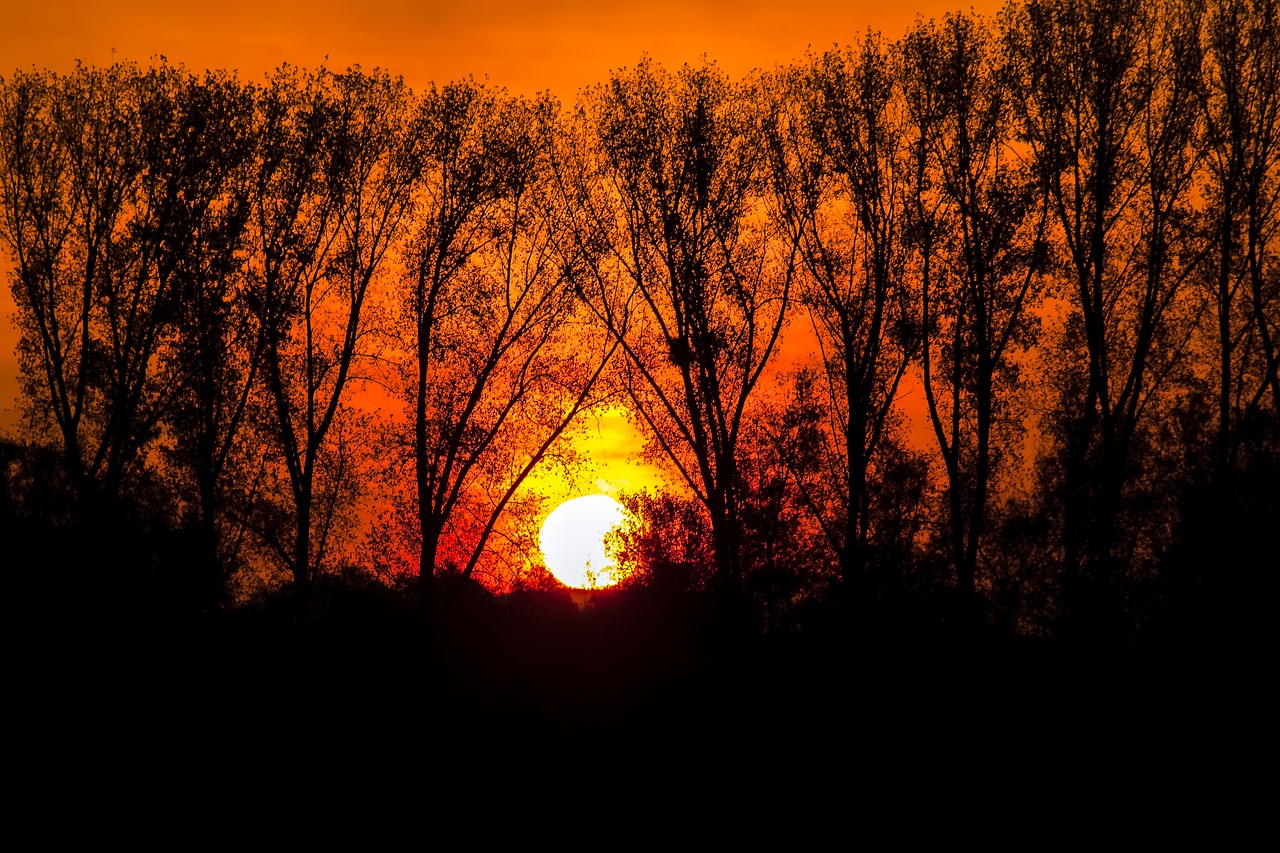 sunrise landscape morning light free photo