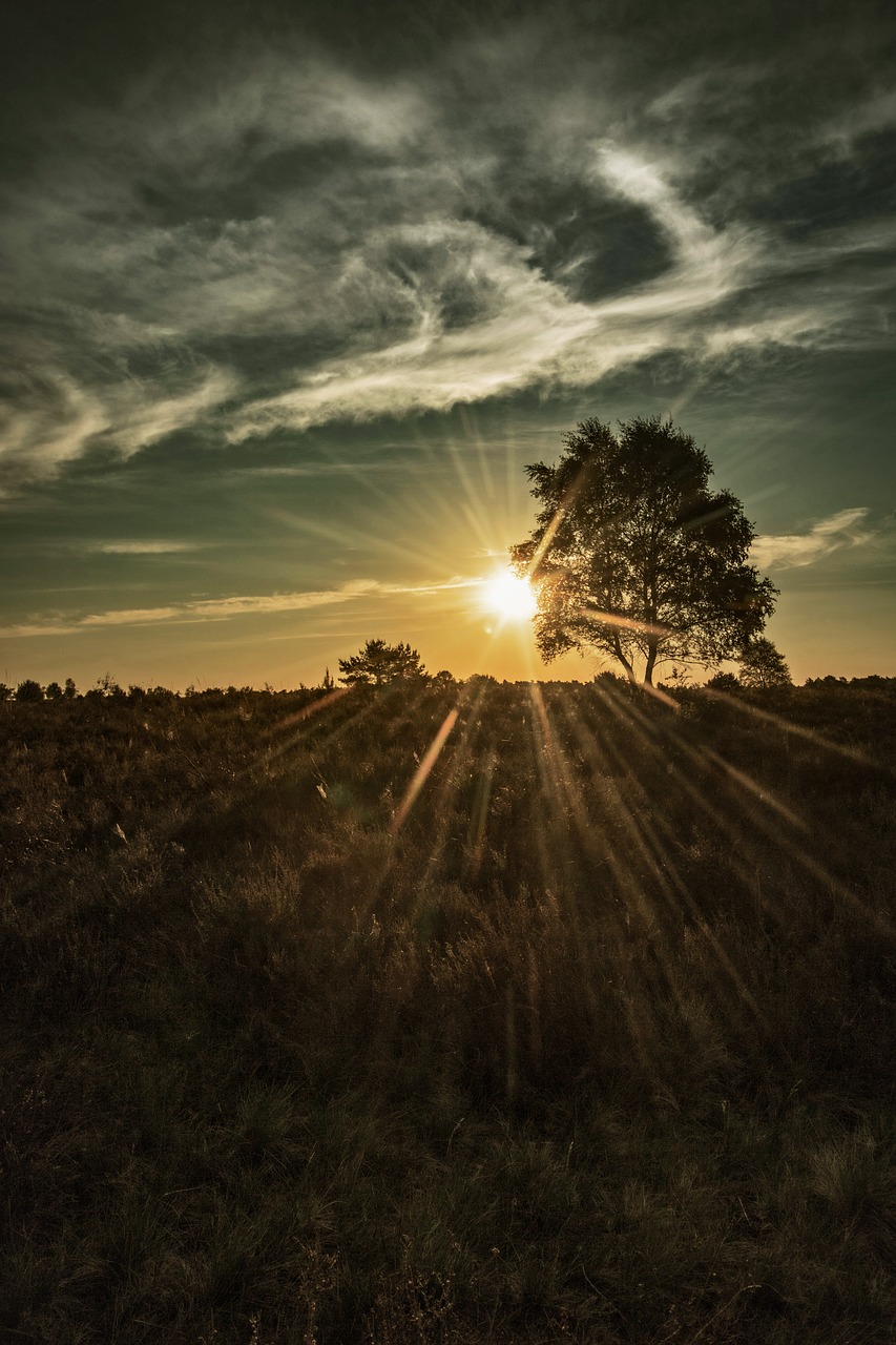 sunrise sky morgenstimmung free photo