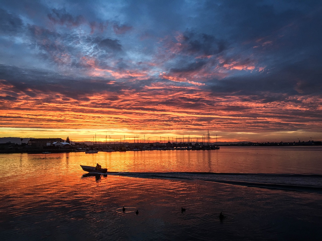 sunrise water ocean free photo