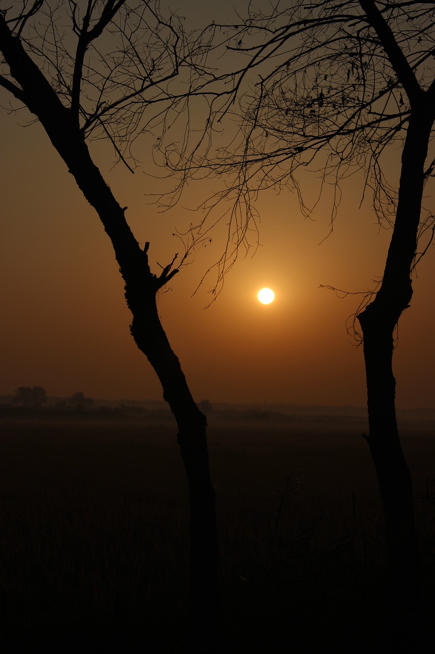 sunrise sunset lonely free photo