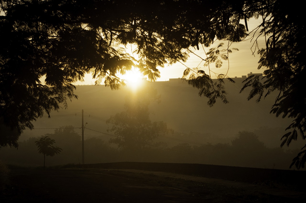 sunrise shadow nature free photo