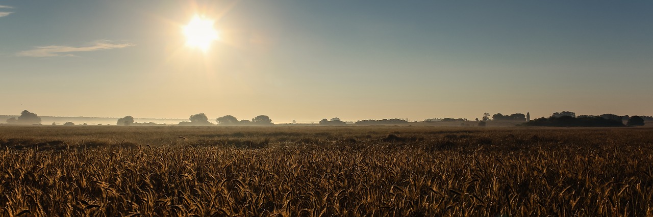 sunrise field landscape free photo