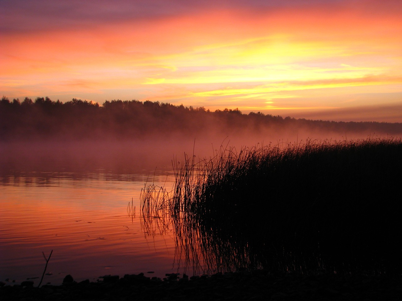 sunrise river backwater free photo