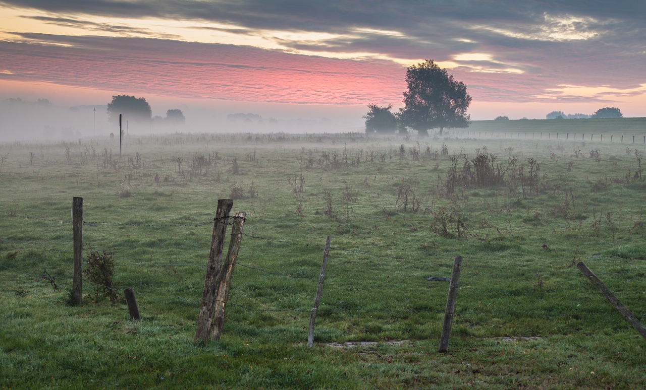 sunrise meadow landscape free photo