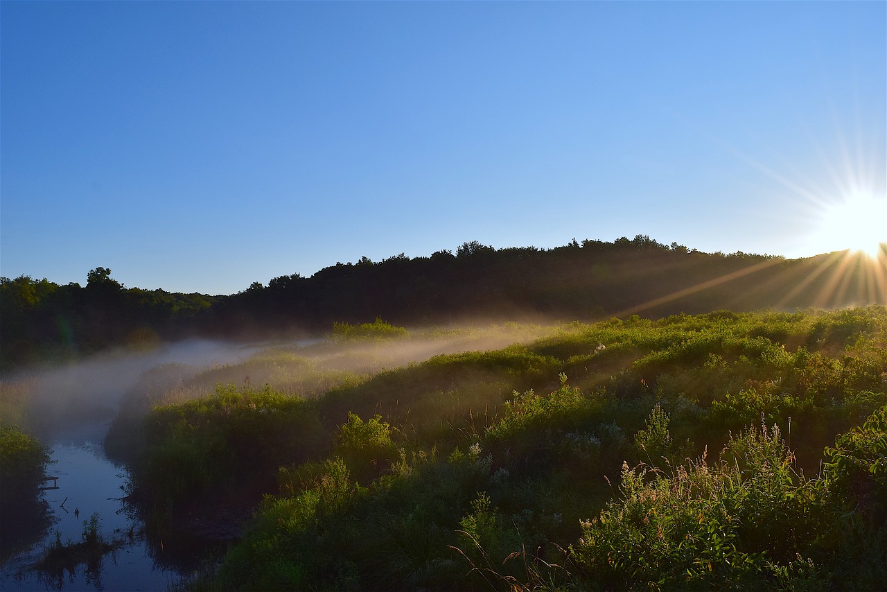 sunrise mist brush free photo