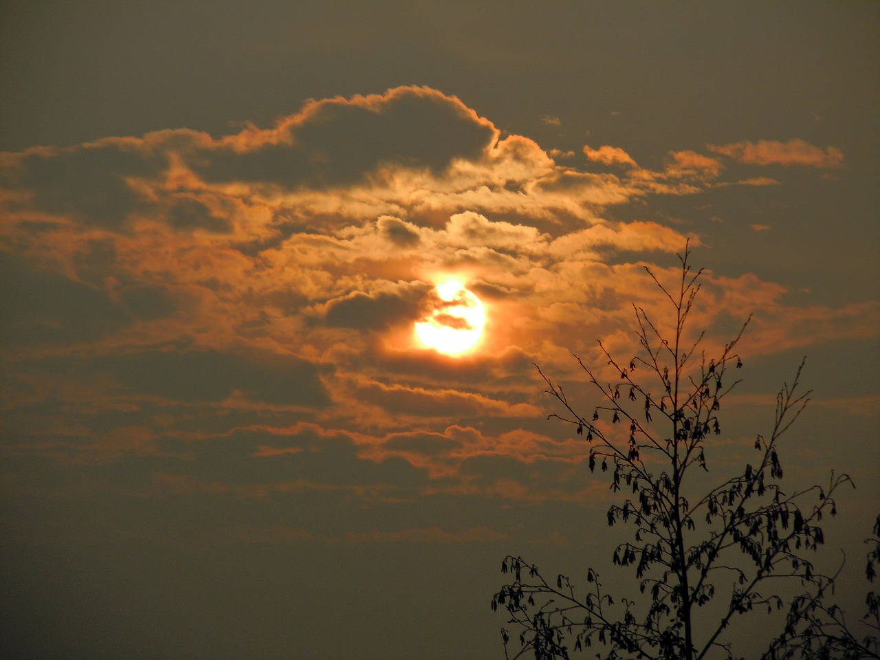 sunrise skies clouds free photo