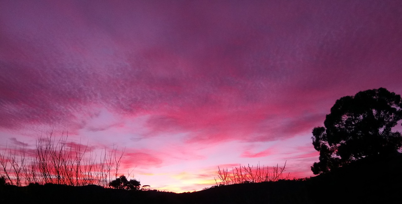 sunrise clouds purple free photo