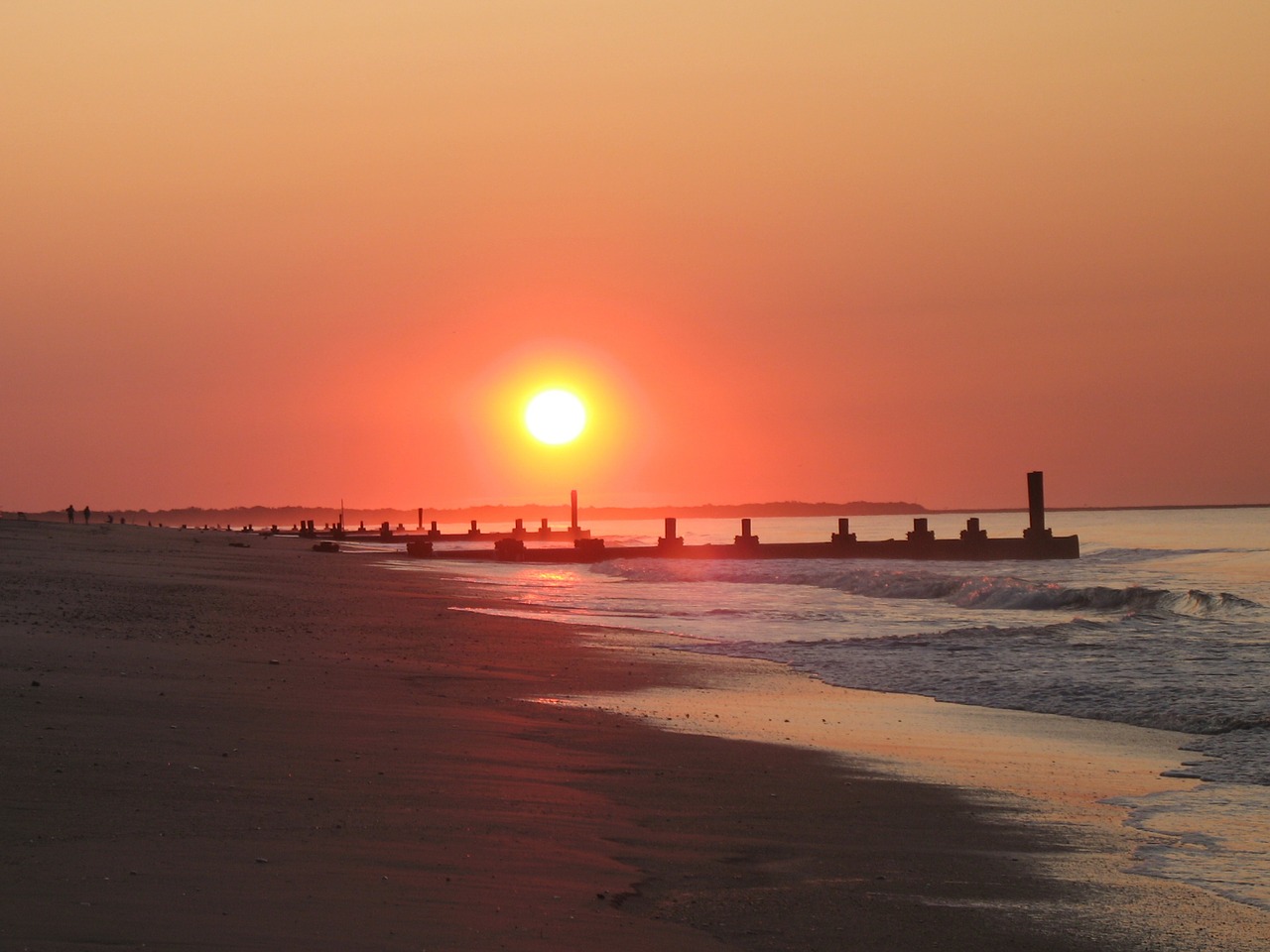 sunrise ocean beach free photo