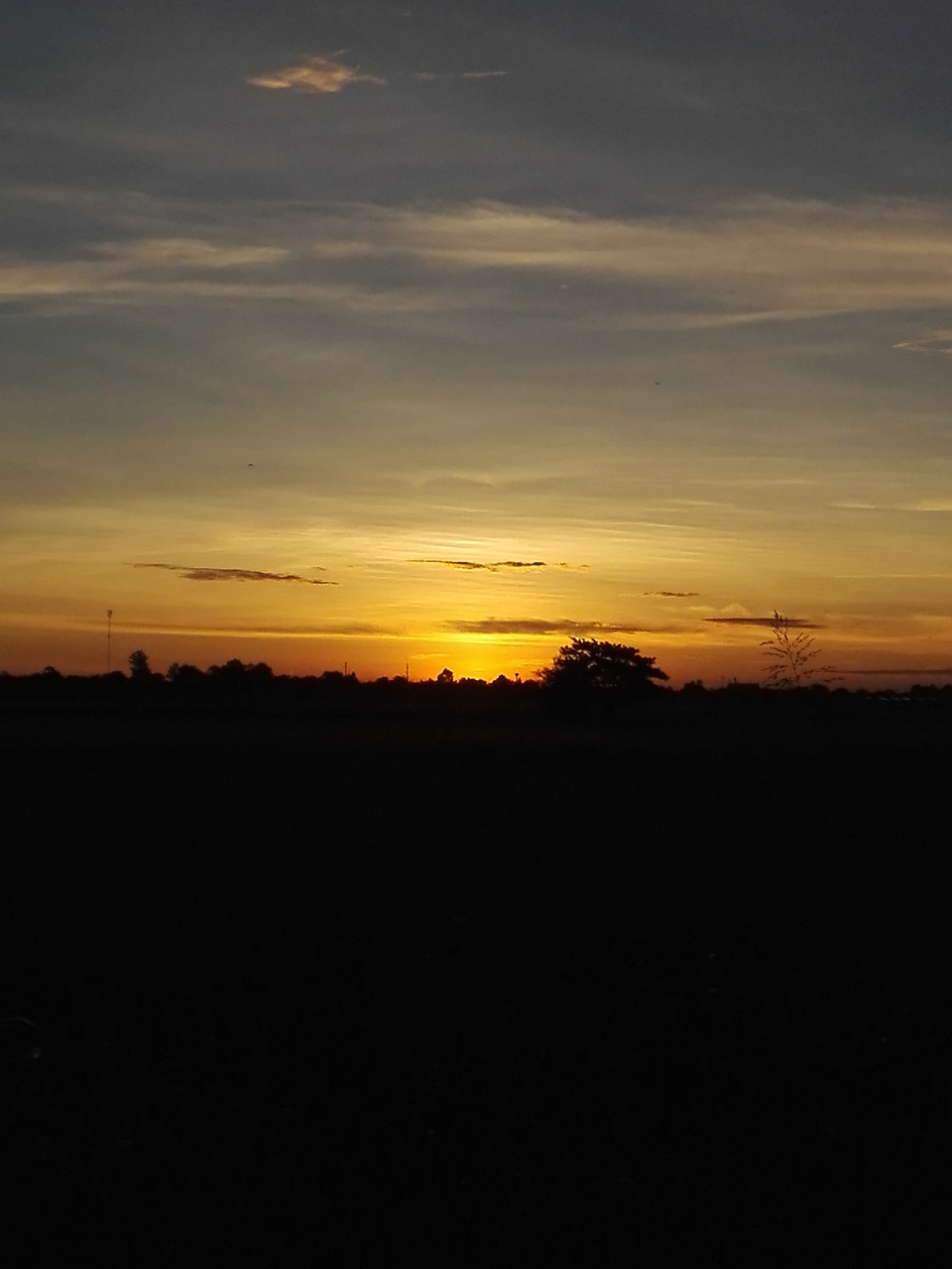 sunrise cornfield mead free photo