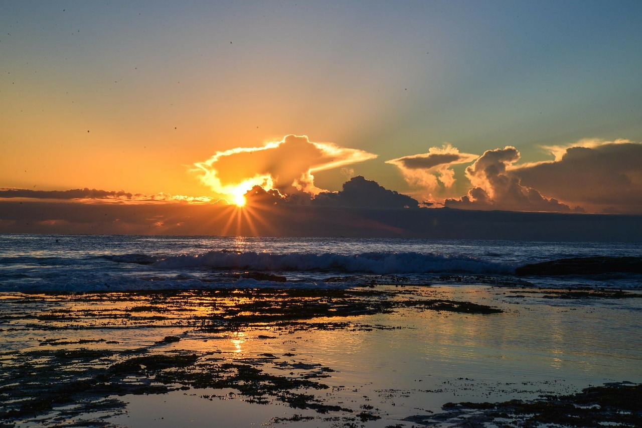sunrise mona vale sydney free photo