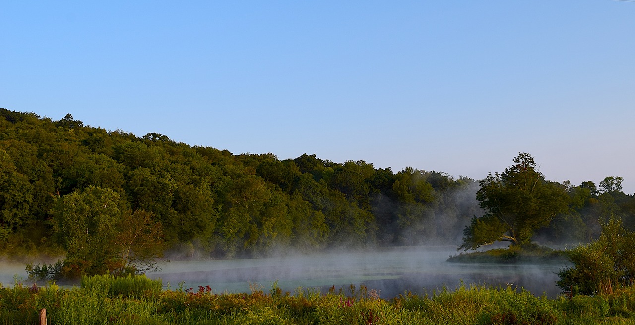 sunrise pond mist free photo