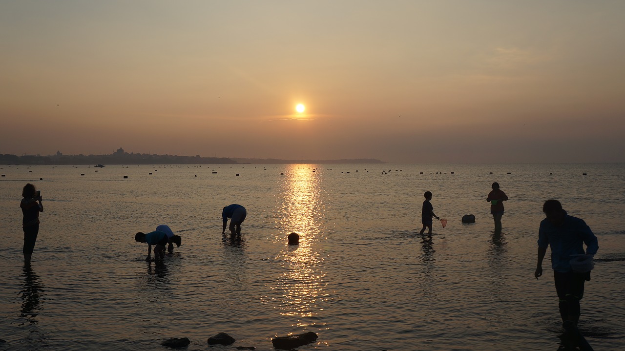 sunrise the sea pickers free photo