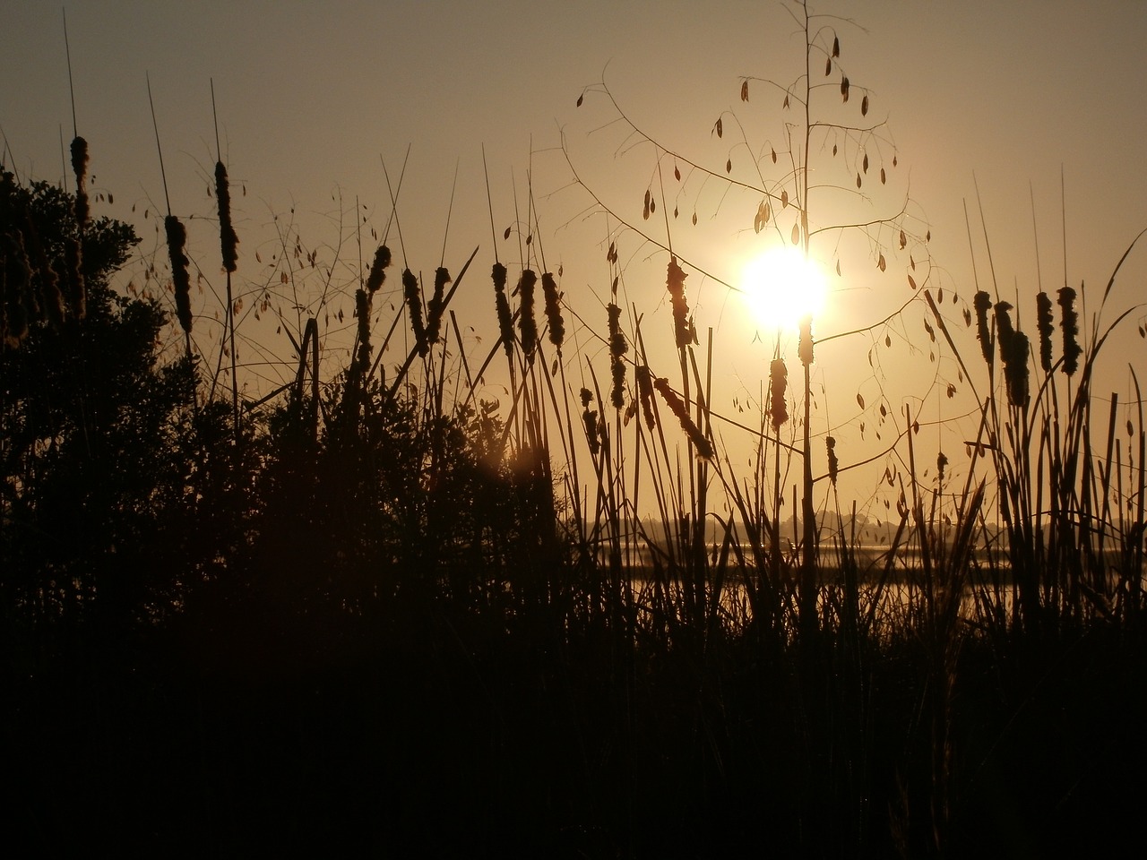 sunrise river landscape free photo