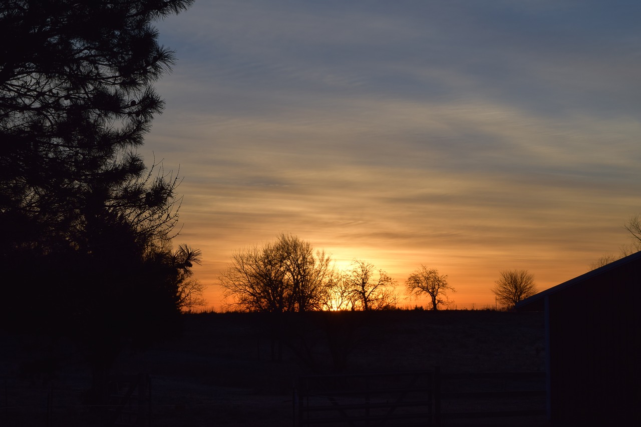 sunrise morning golden free photo