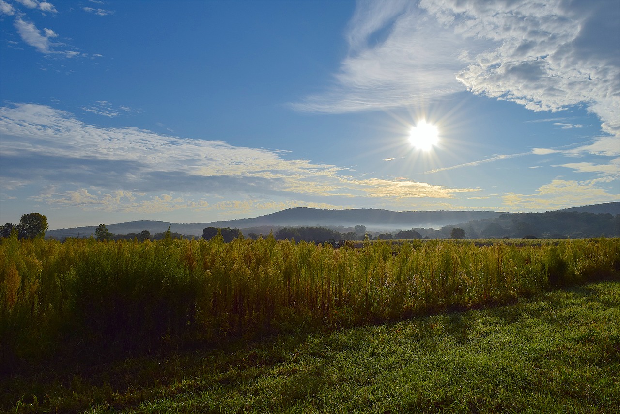 sunrise field sky free photo