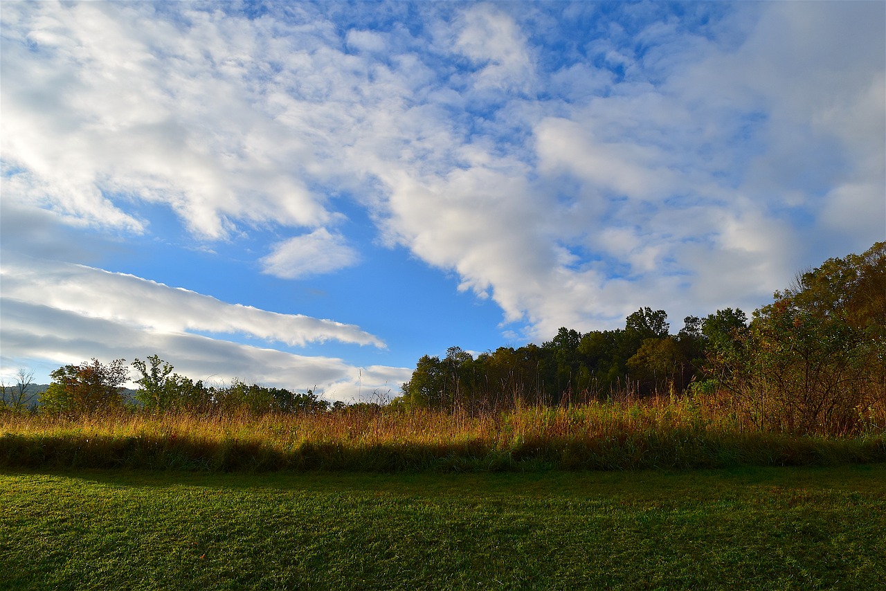 sunrise field landscape free photo