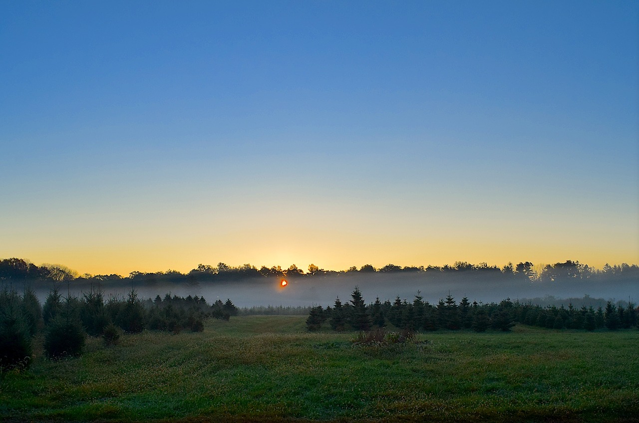 sunrise mist field free photo