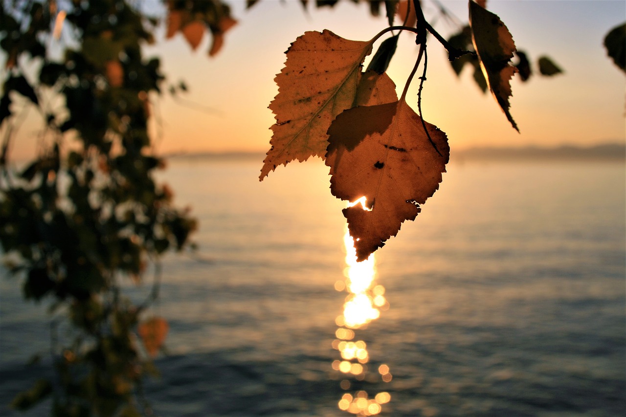 sunrise para autumn free photo
