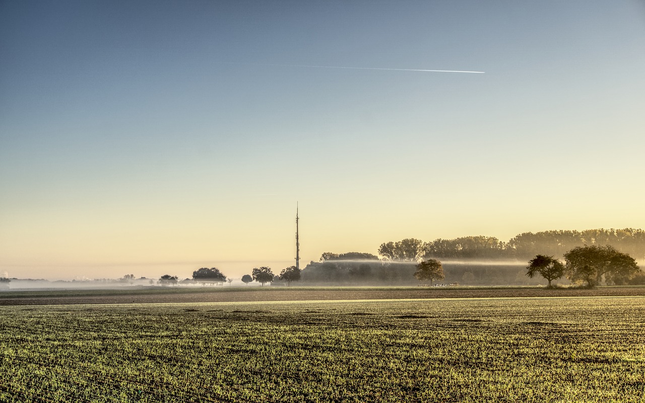 sunrise fog sunlight free photo