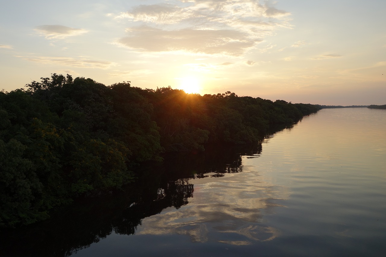 sunrise brazil rio negro free photo