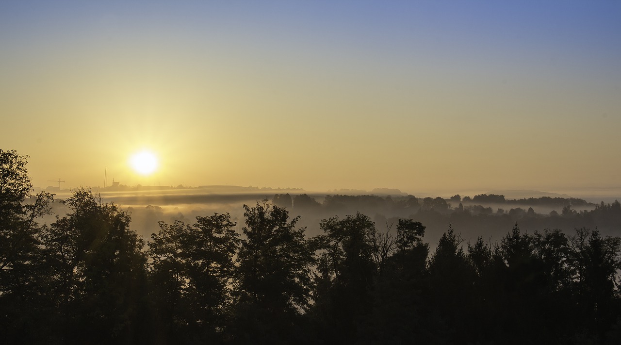 sunrise fog landscape free photo