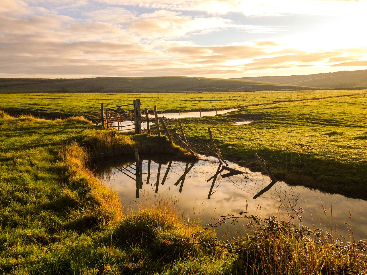 sunrise grass reflections free photo