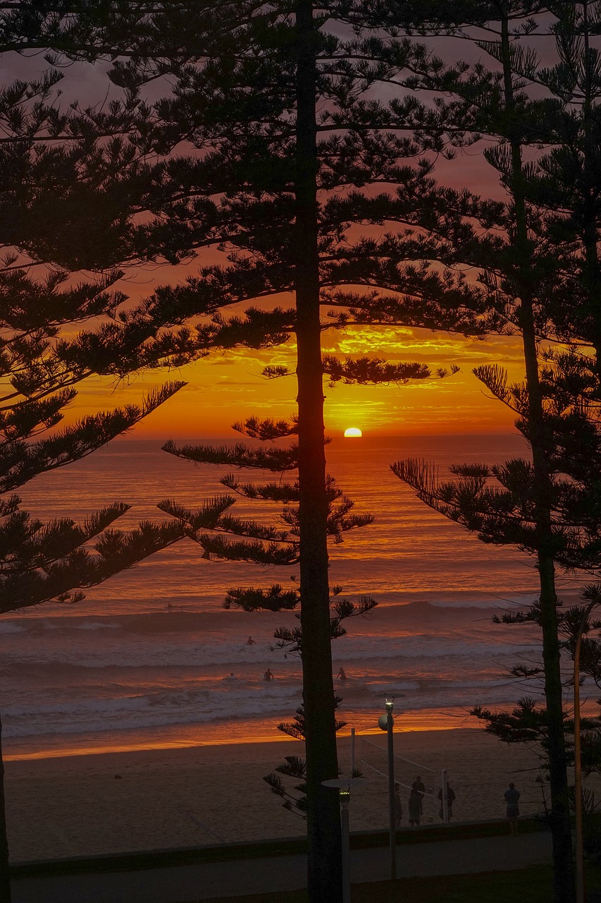 sunrise manly manly beach free photo